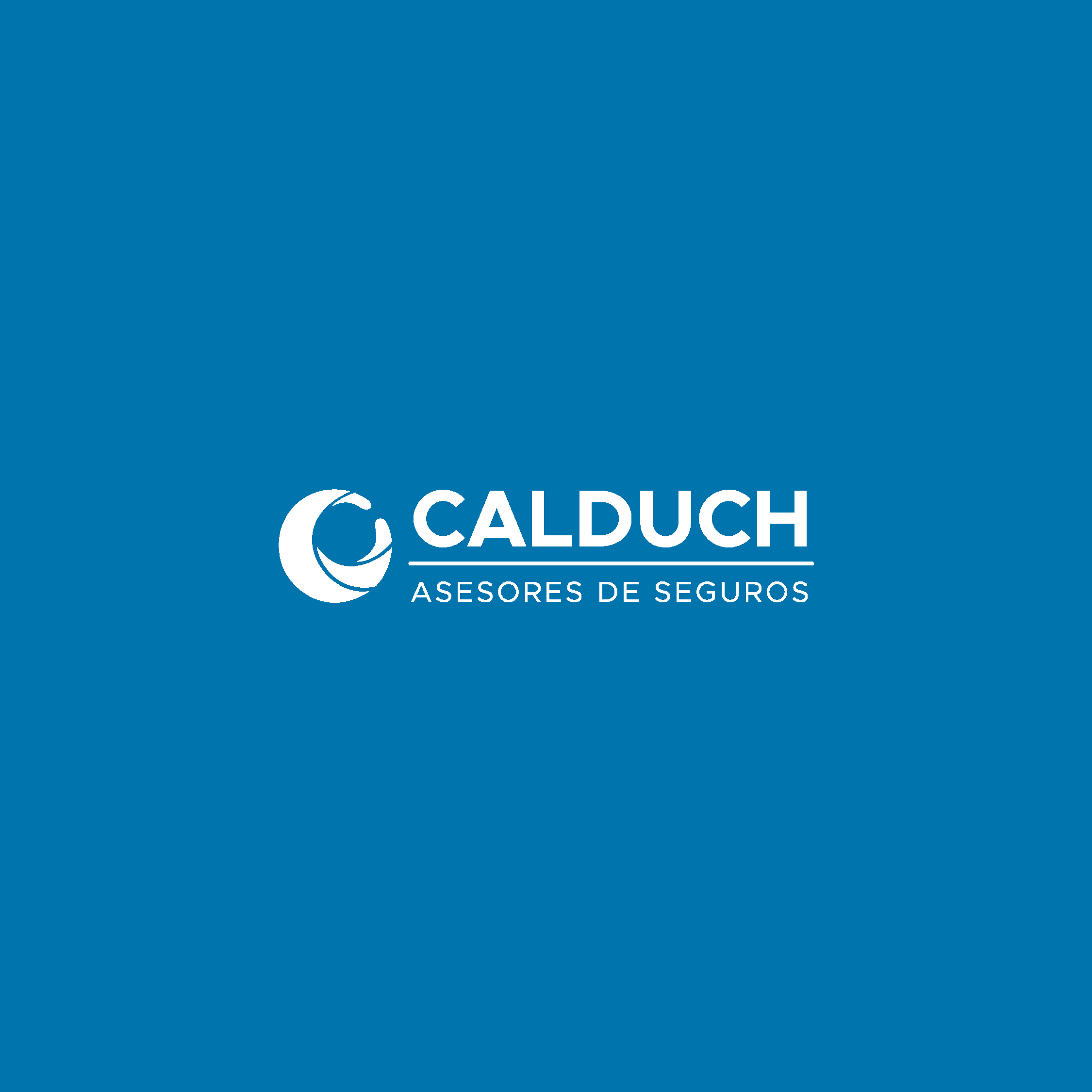 Dirección visual para Seguros Calduch